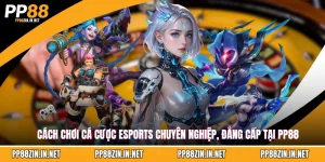 PP88 🎖️ Link Trang Chủ 2026 | Đăng Ký Gia Nhập Tặng 100K